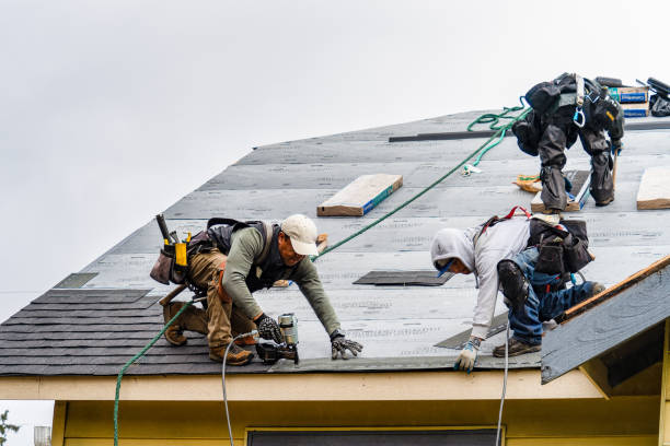 Professional Gutter Installation technician working in Canby, MN